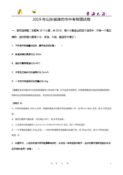 2019年山东省潍坊市中考物理试题(word版,含解析) (2)