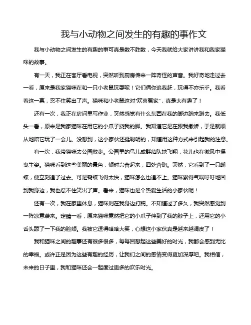 我与小动物之间发生的有趣的事作文