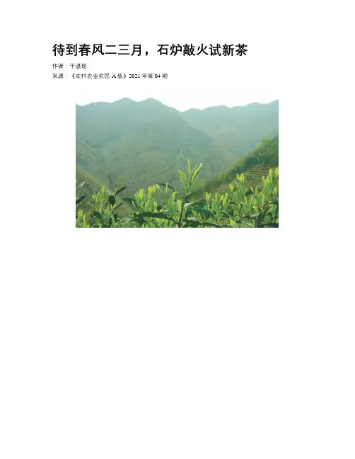 待到春风二三月，石炉敲火试新茶