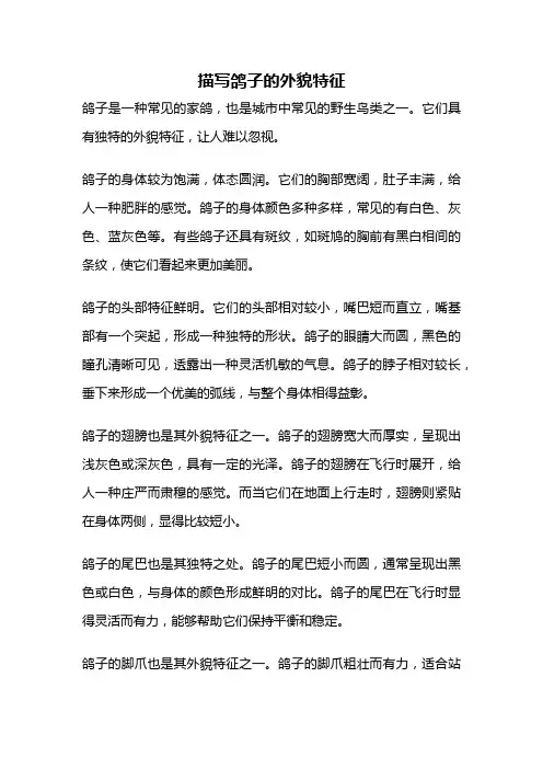 描写鸽子的外貌特征