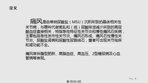 痛风的饮食指导PPT课件