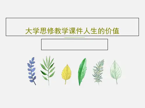 大学思修教学课件人生的价值PPT28页