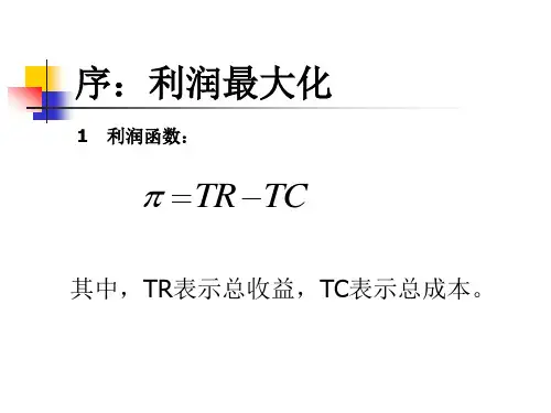 第五章市场结构分析