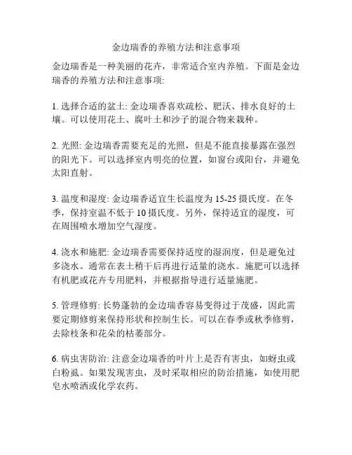 金边瑞香的养殖方法和注意事项