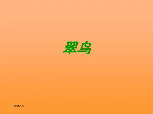 课标版三年级下册《翠鸟》ppt课件 .ppt