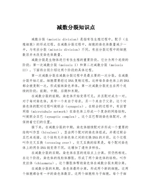 减数分裂知识点