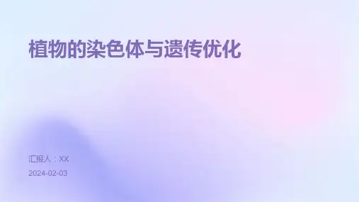 植物的染色体与遗传优化