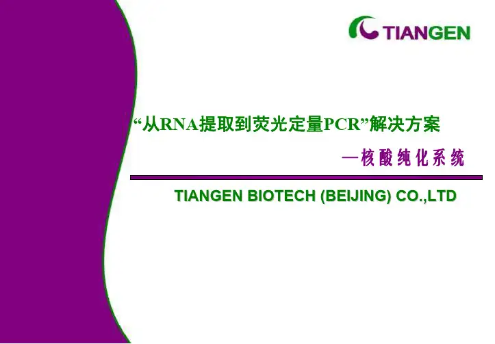 从RNA提取到荧光定量PCR解决方案-RNA提取和RT