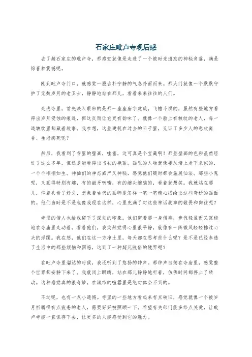 石家庄毗卢寺观后感