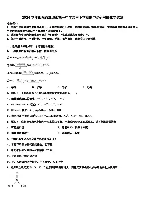 2024学年山东省邹城市第一中学高三下学期期中调研考试化学试题含解析