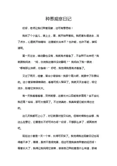 种葱观察日记