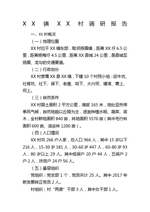 XX村调研报告