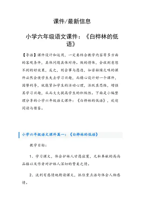 小学六年级语文课件：《白桦林的低语》