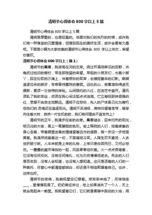 清明节心得体会800字以上5篇