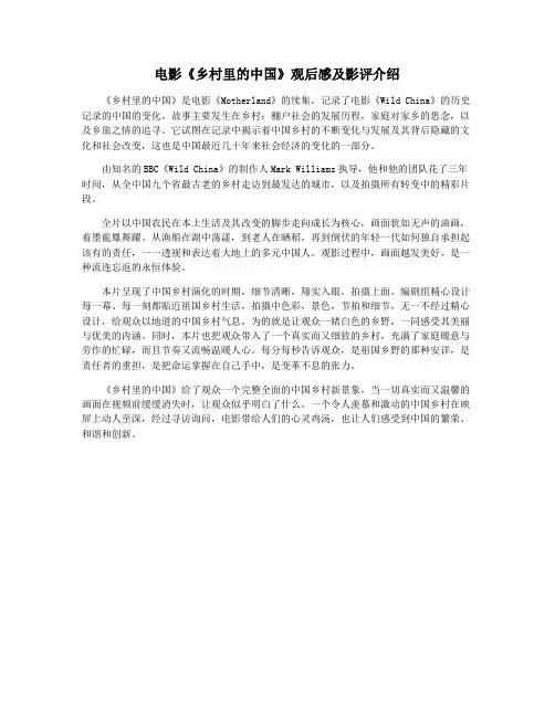 电影《乡村里的中国》观后感及影评介绍