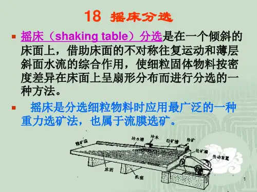 固体物料分选学18