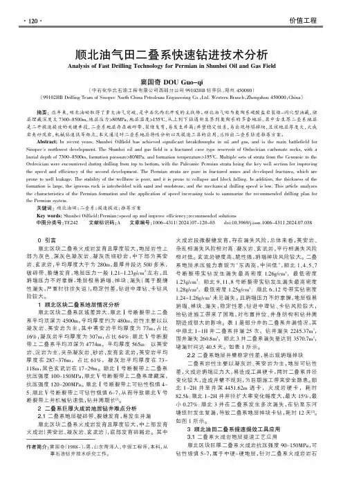 顺北油气田二叠系快速钻进技术分析