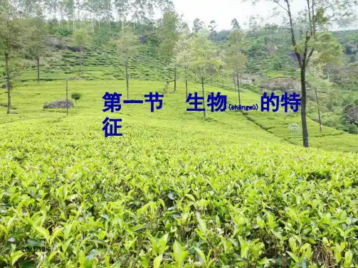 七年级生物上册第一单元第一章第一节生物的特征_3