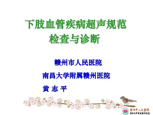 下肢血管超声规范检查与诊断ppt课件