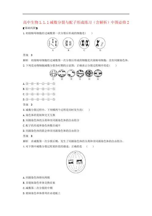 高中生物1.1.1减数分裂与配子形成练习(含解析)中图必修2