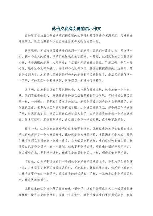 苏格拉底摘麦穗的启示作文