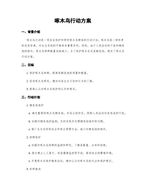 啄木鸟行动方案