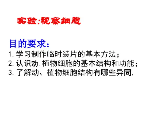 细胞(观察细胞)PPT课件(初中科学)
