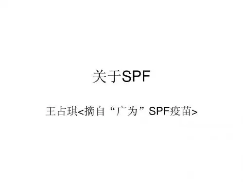 关于SPF