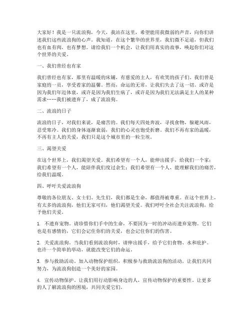 流浪狗发声演讲稿范文