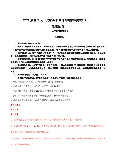 2020届全国天一大联考新高考押题冲刺模拟(十)生物试卷