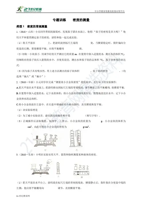 专题训练  密度的测量