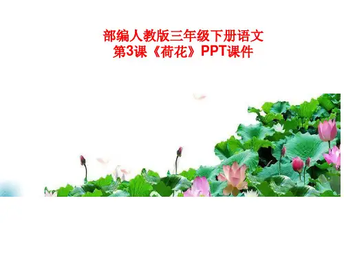 部编人教版三年级下册语文第3课《荷花》PPT课件
