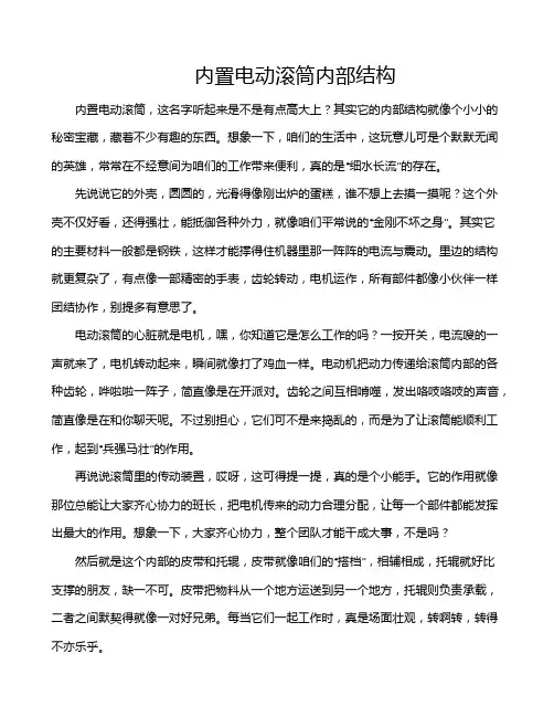 内置电动滚筒内部结构