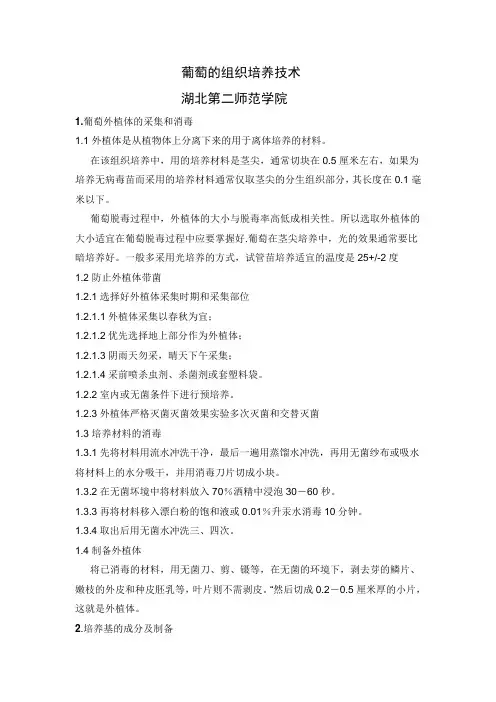 葡萄的组培快繁技术