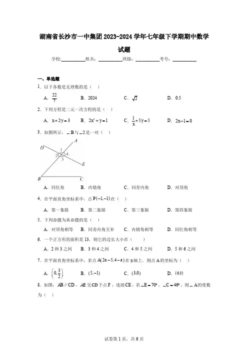 湖南省长沙市一中集团2023-2024学年七年级下学期期中数学试题