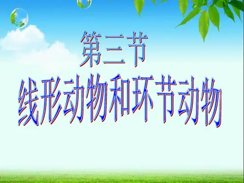 人教版八年级生物上册1《第一章_第二节_线形动物和环节动物》课件