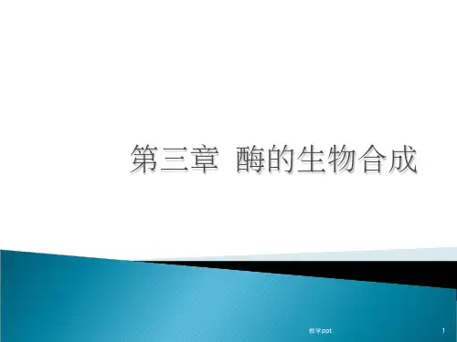 酶学与酶工程第三章酶的生物合成学生