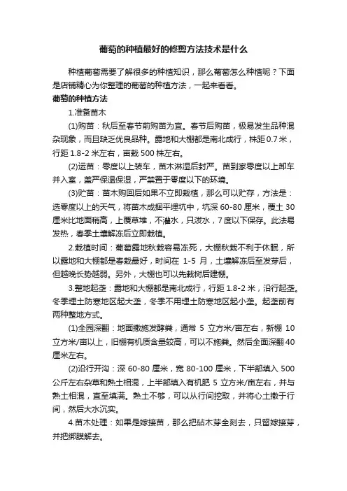 葡萄的种植最好的修剪方法技术是什么