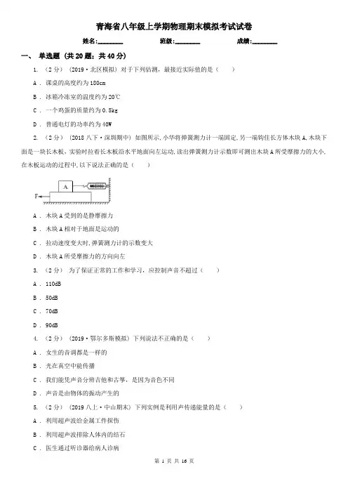 青海省八年级上学期物理期末模拟考试试卷
