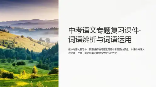 中考语文专题复习课件-词语辨析与词语运用