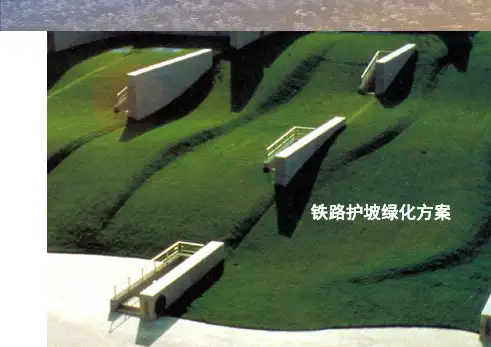 铁路两旁护坡绿化方案ppt课件