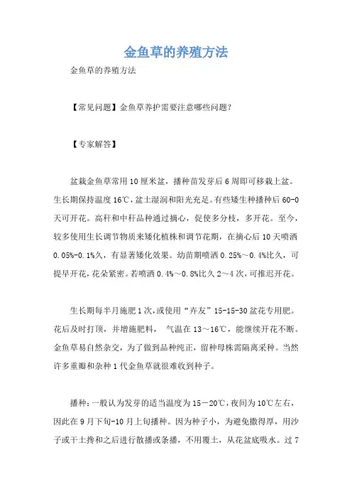 金鱼草的养殖方法