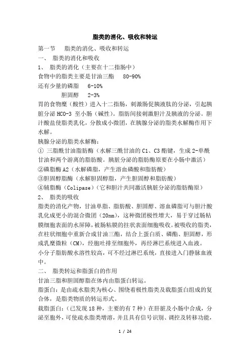 脂类消化、吸收和转运