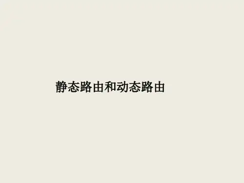 静态路由和动态路由重要知识点
