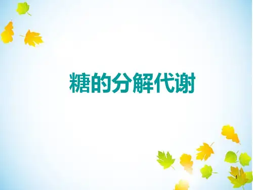 糖的分解代谢PPT课件
