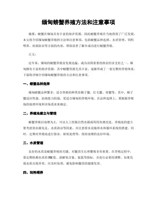 缅甸螃蟹养殖方法和注意事项