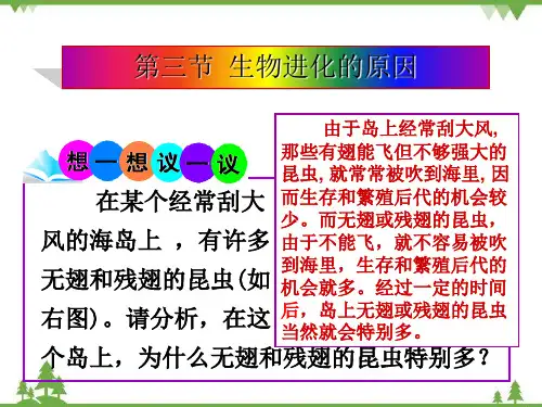 人教版生物八年级下册 第七单元 第三章 第三节 生物进化的原因课件(共13张PPT)