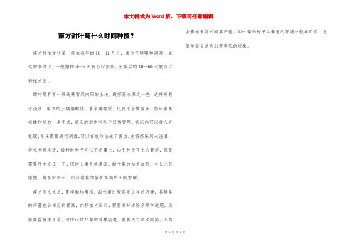 南方甜叶菊什么时间种植？