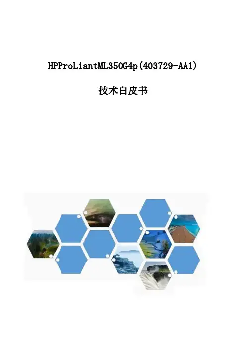 HPE ProliantML350G4p(403729-AA1)-服务器技术白皮书