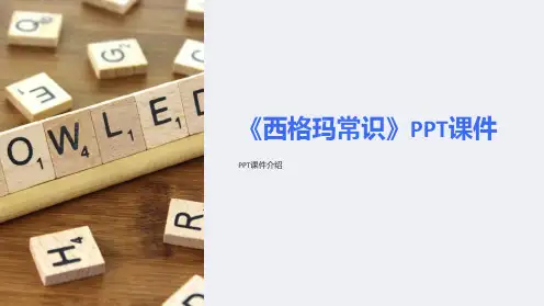 《西格玛常识》课件